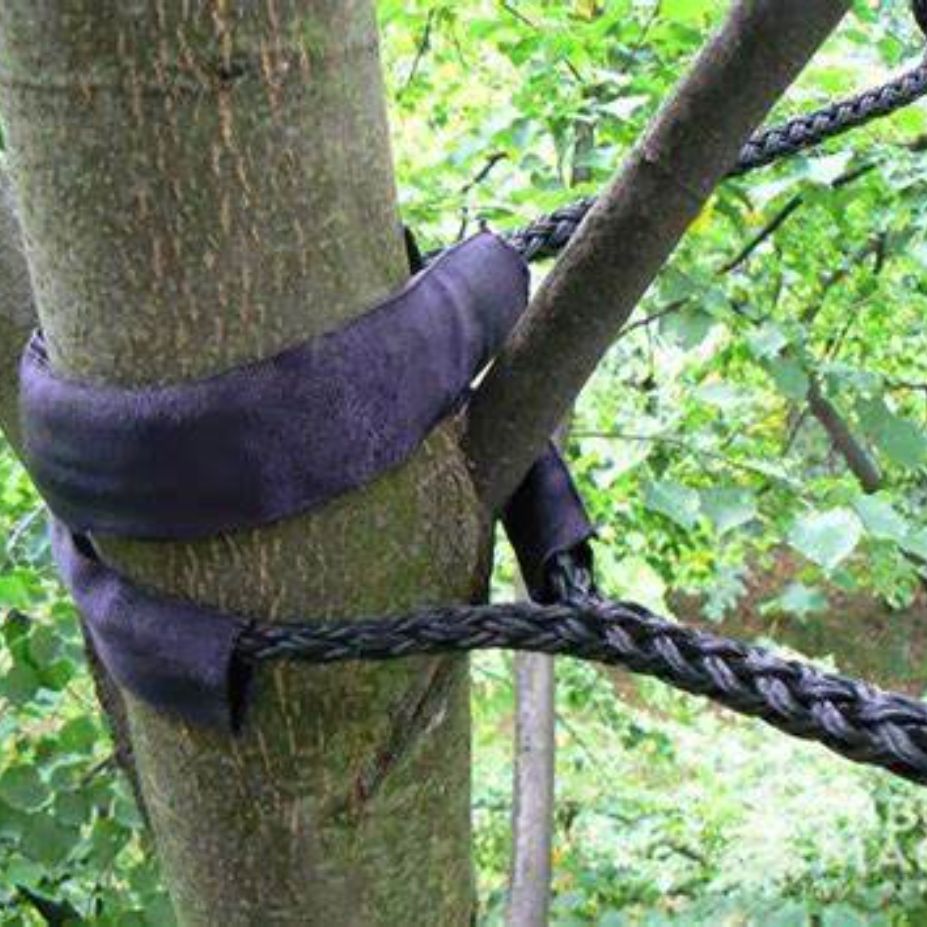 tree cabling and bracing