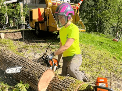 tree removal service commercial tree removal