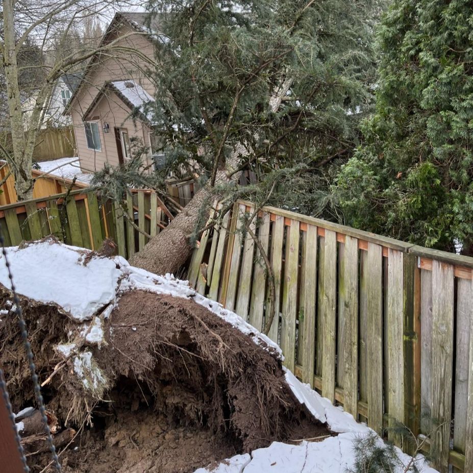 24 hour emergency tree service
