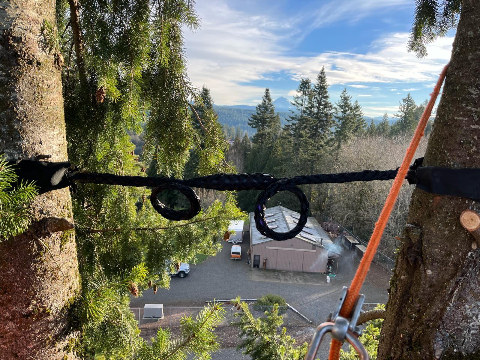 Tree Cabling And Bracing Service in Gresham Oregon
