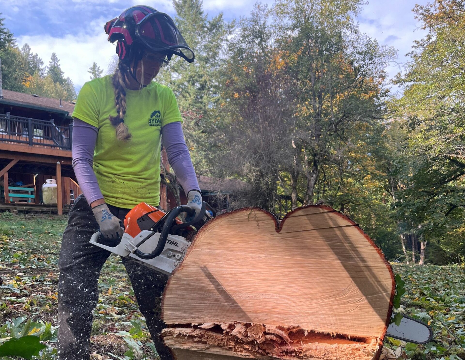 Emergency Tree Services Service in Estacada Oregon