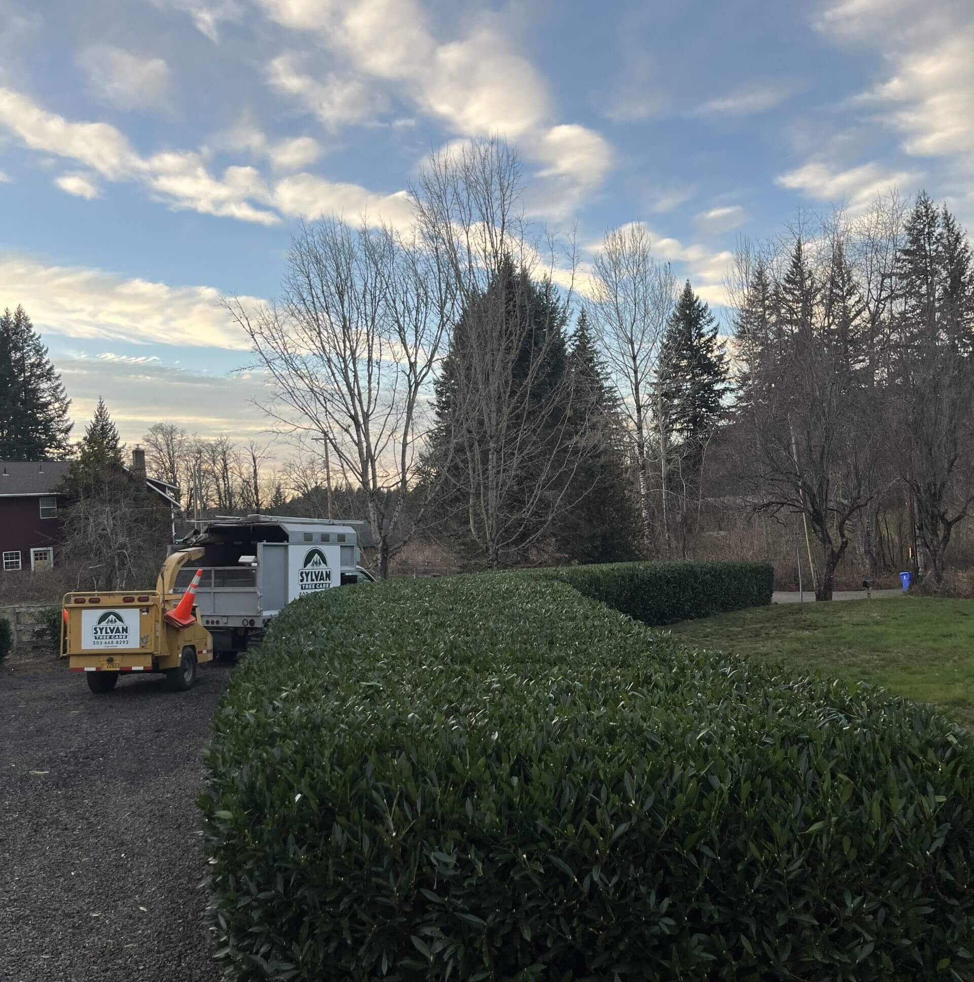 Hedge And Ornamental Pruning Service in Gresham Oregon